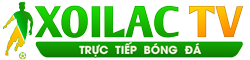 giá dollar hôm nay